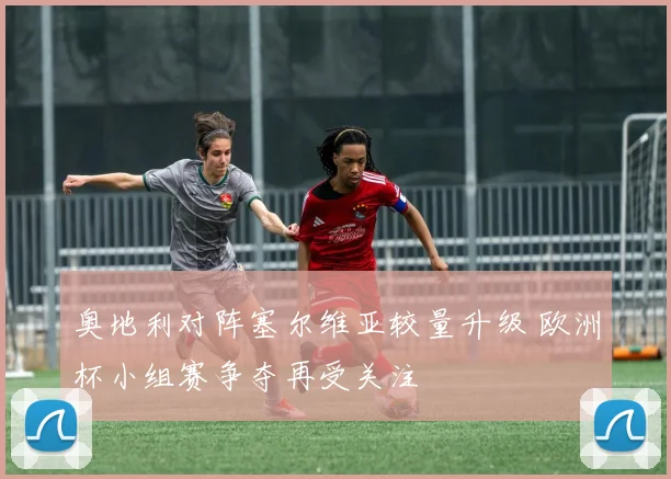 奥地利对阵塞尔维亚较量升级 欧洲杯小组赛争夺再受关注