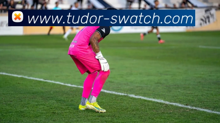 App Interface Preview