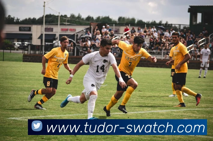 星空app官方登录入口APP 封面图